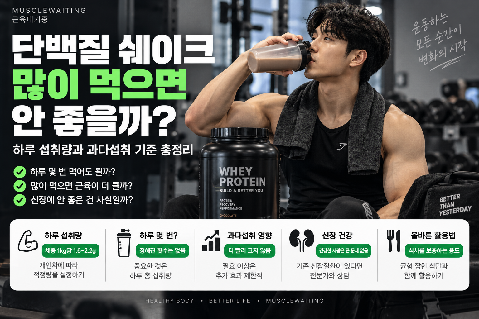 단백질 쉐이크 많이 먹으면 하루 섭취량과 과다섭취 기준